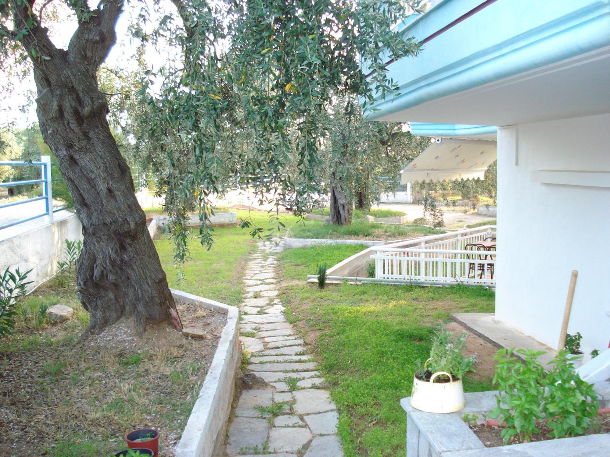 Panagiotis Hotel Skala Sotiros Extérieur photo